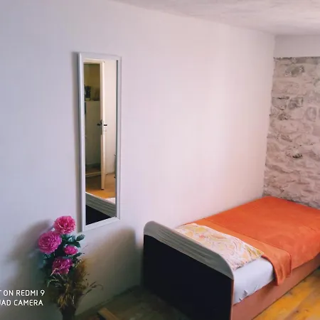 Anna 포드스트라나