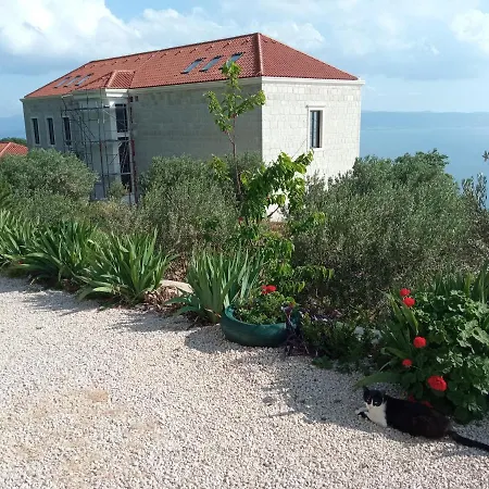 Anna * 포드스트라나